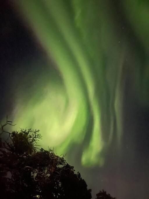 Leilighet I Rolig Gate Med Utsikt Og Gratis Parkering Tromsø Exterior foto