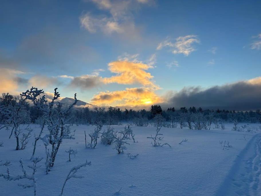 Leilighet I Rolig Gate Med Utsikt Og Gratis Parkering Tromsø Exterior foto